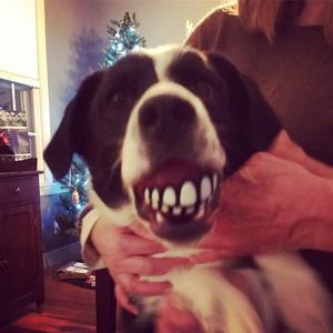 Meet your Posher, Kristen